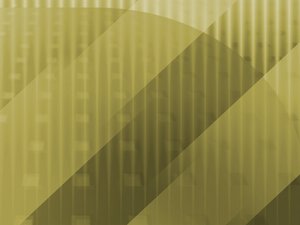 网站关键词研究中的搜索趋势可视化